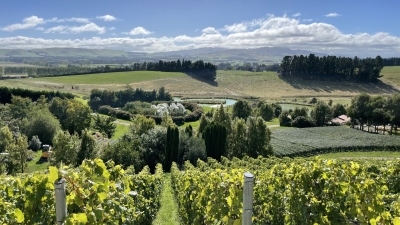 От Могилово до Нова Зеландия